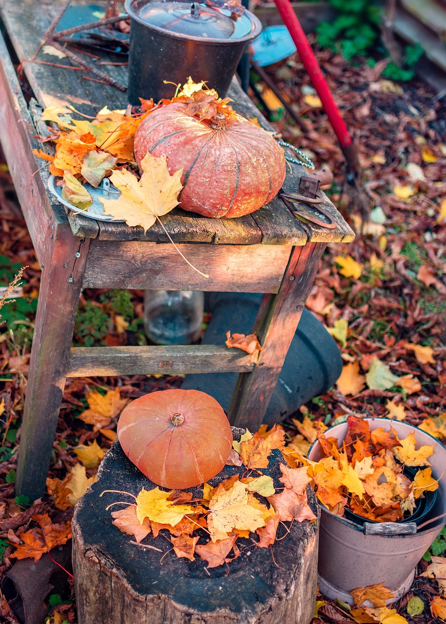 Jahreskreisfest - Mabon