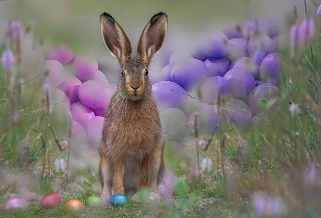 Jahreskreisfest-Ostara